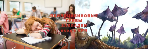 кокс Лабытнанги