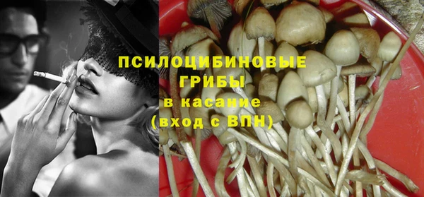 мескалин Ладушкин