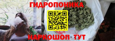 тгк Волгодонск