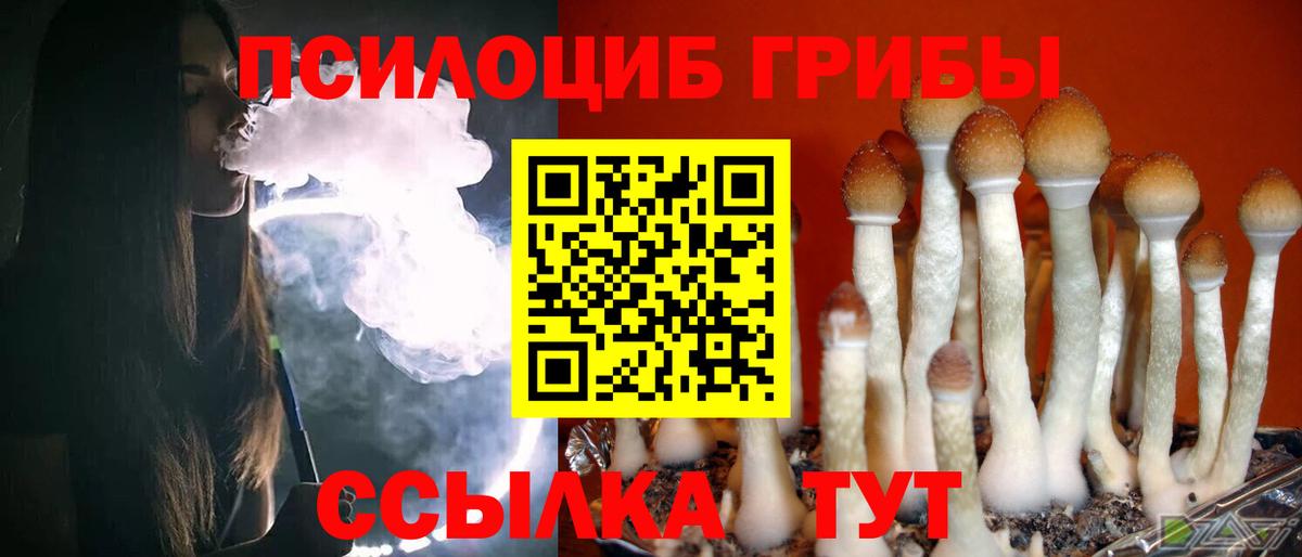 Конаково  Псилоцибиновые грибы ЛСД  Псилоцибиновые грибы Psilocybine cubensis  Вход с VPN 