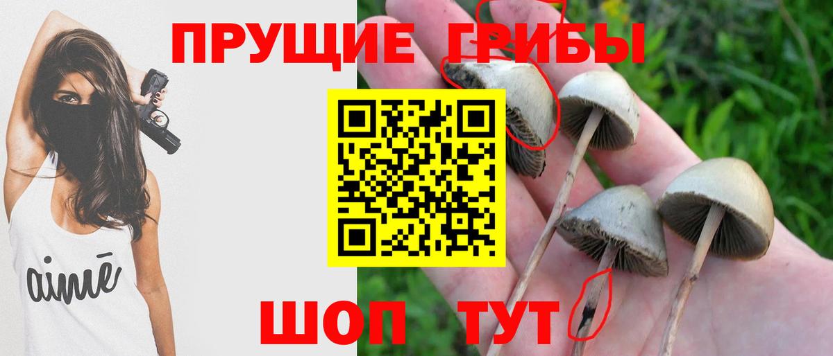 Псилоцибиновые грибы Magic Shrooms Конаково
