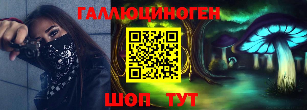 Псилоцибиновые грибы мицелий  закладки  Псилоцибиновые грибы GOLDEN TEACHER  Конаково 